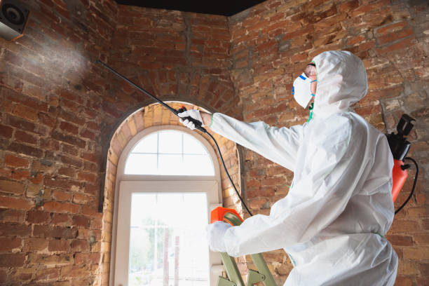 Why You Should Choose Our Mold Remediation Services in Tchula, MS